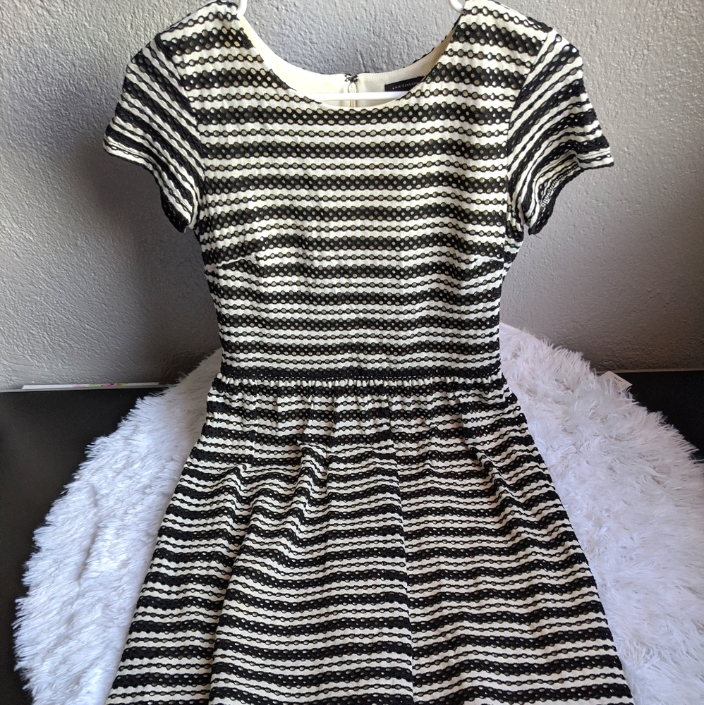 Ann Taylor Striped Eyelet Black and White Dress